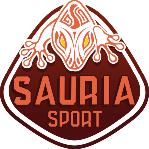 logo couleur sauria