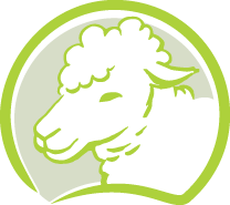 step3 picto ovins valid