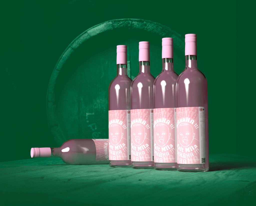 vins6 caméra