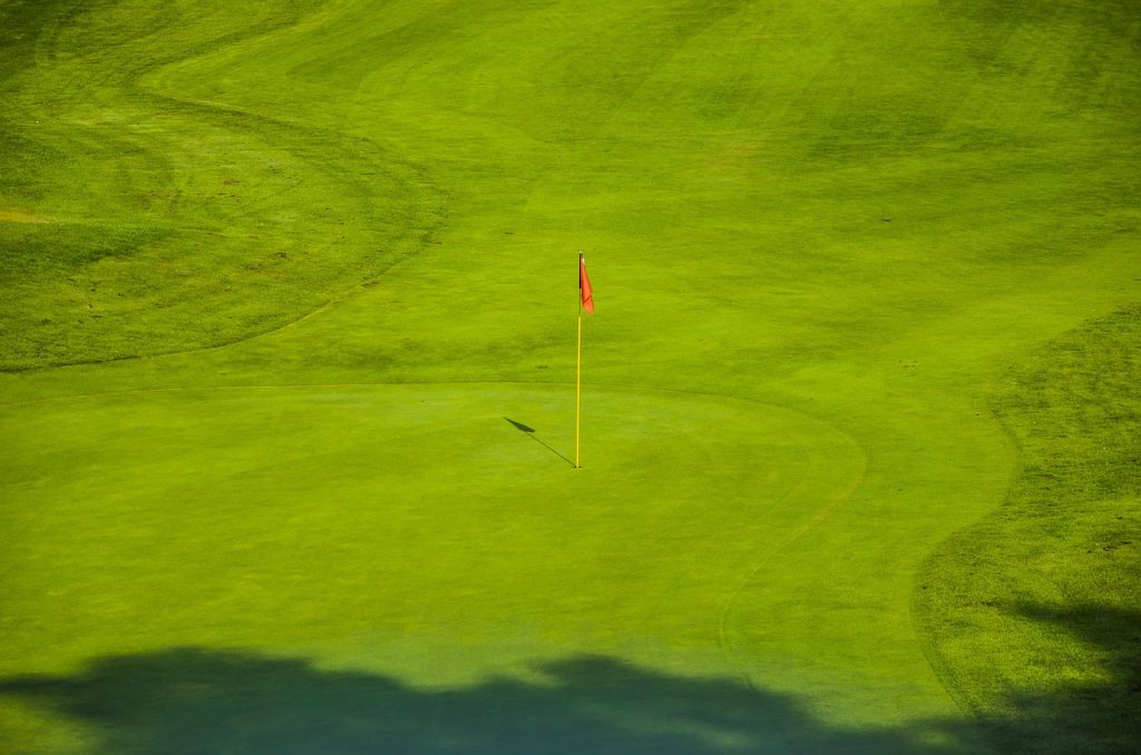 golf, green, golf courses-462323.jpg