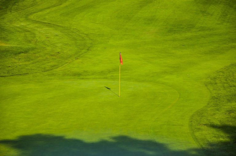 golf, green, golf courses-462323.jpg