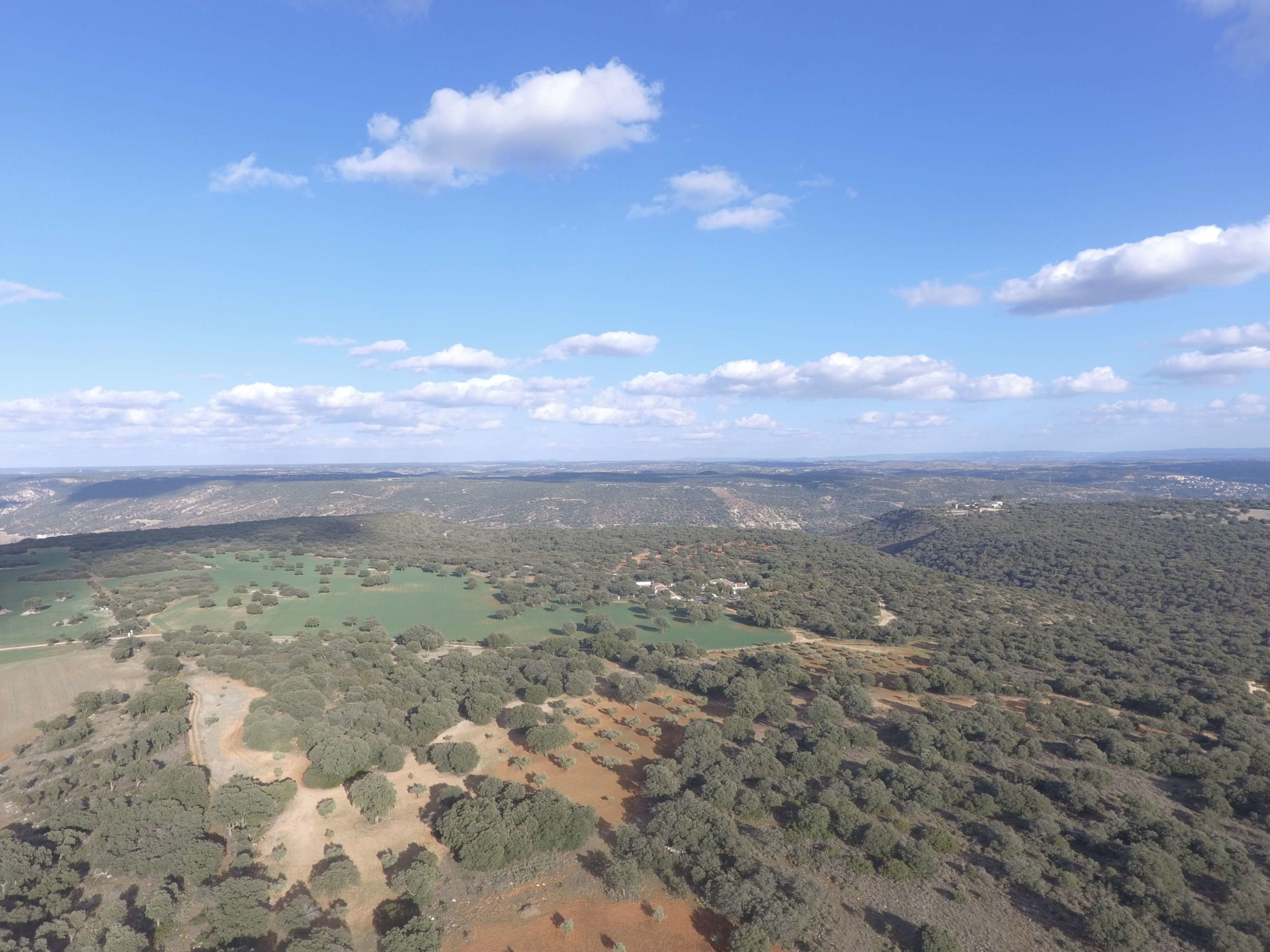 vuelo dron evaluacion impacto ambiental