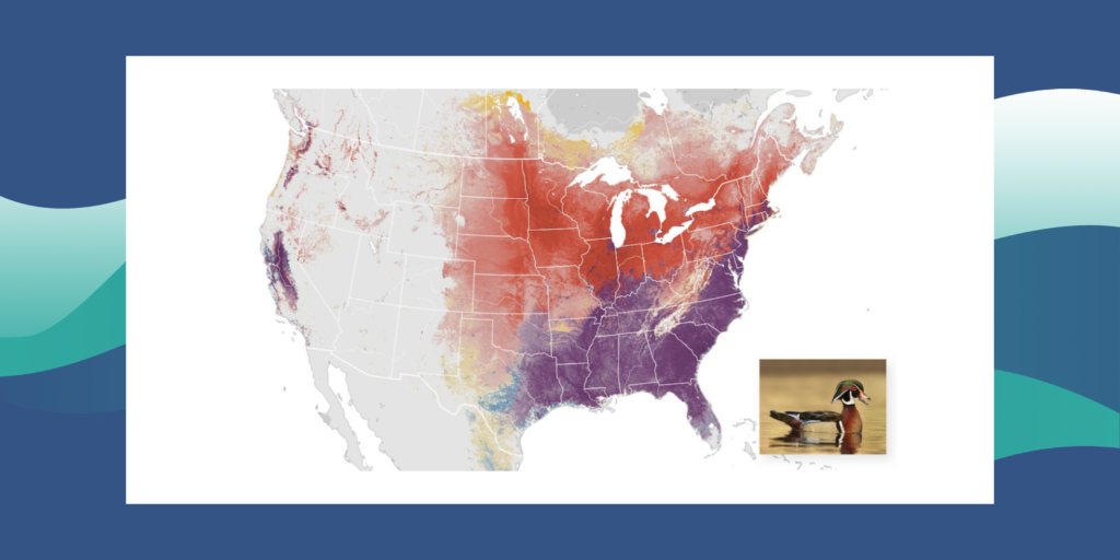 mapa de EEUU_estudios avifauna ciencia ciudadana