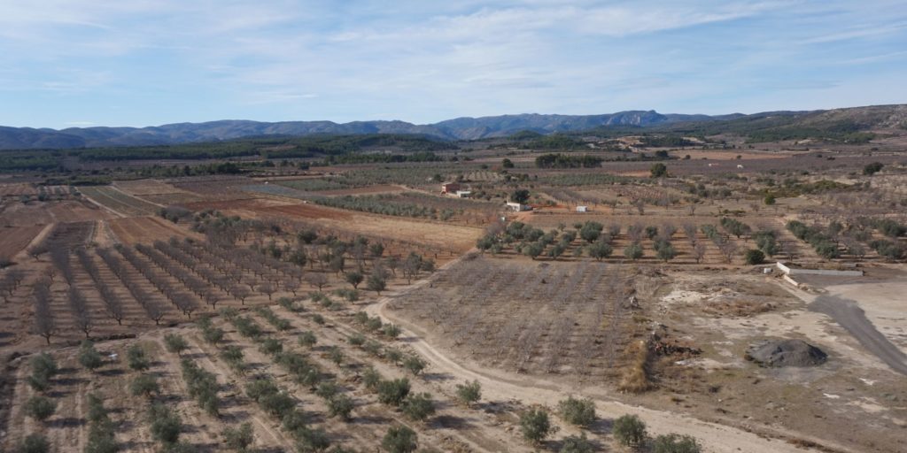 estudios de biodiversidad_dron