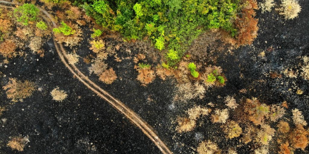 incendio forestal a vista de dron