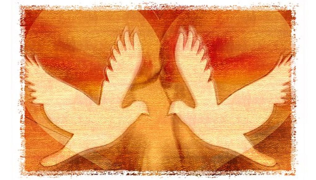 peace-dove