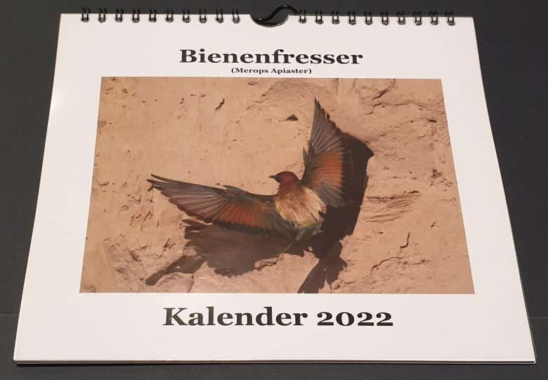 Bienenfresser Kalender