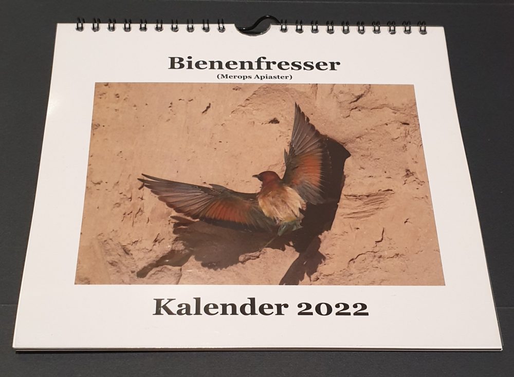 Bienenfresser Kalender