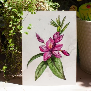 Postkarten "Botanical Illustration" | 20 Stück