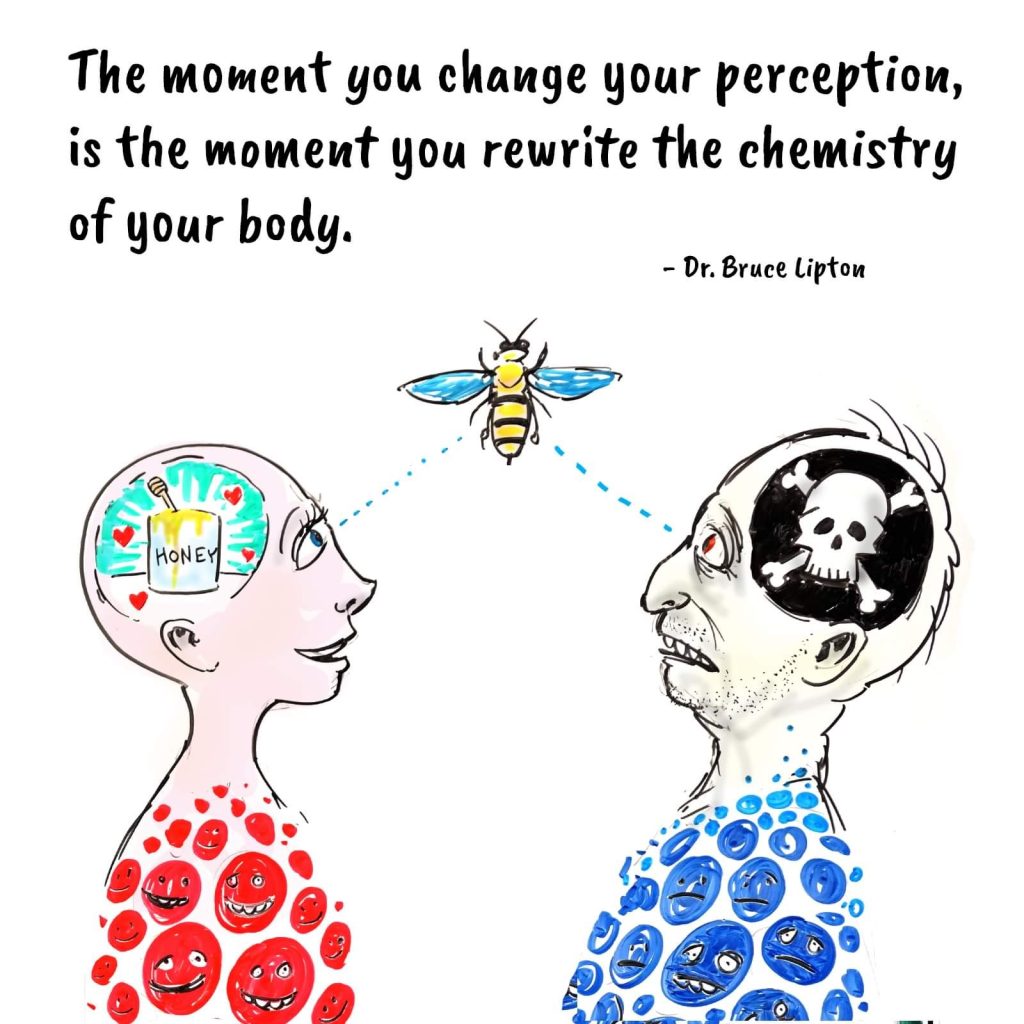 the moment you change your perception is the moment you rewrite the chemistry of your body