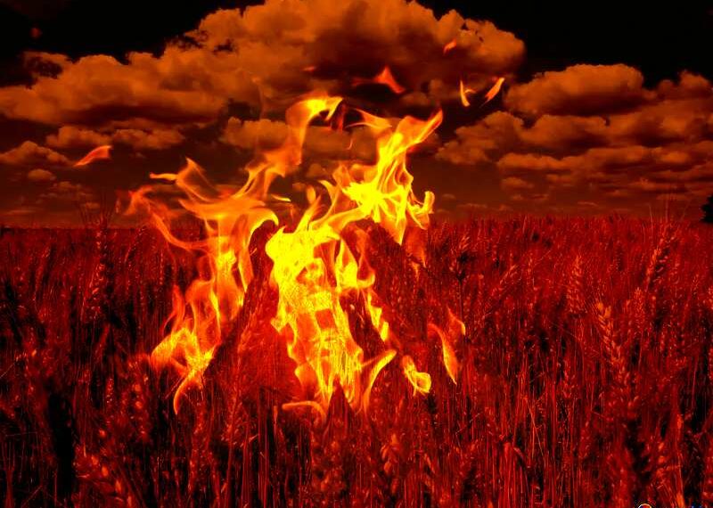 Free picture (Fire on farm illustration) from https://torange.biz/fx/fire-farm-illustration-168835