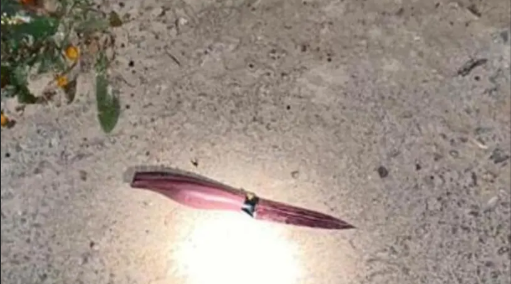 Kniven som ble brukt i terrorangrepet i Tubas på den såkalte Vestbredden.