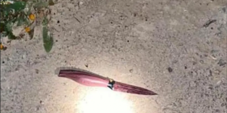 Kniven som ble brukt i terrorangrepet i Tubas på den såkalte Vestbredden.
