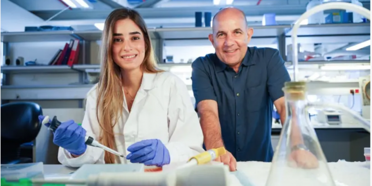 Israelske forskere har funnet en måte å reversere aldringsprosessen i immunforsvaret. Foto: NITZAN ZOHAR/TECHNION SPOKESPERSON'S OFFICE
