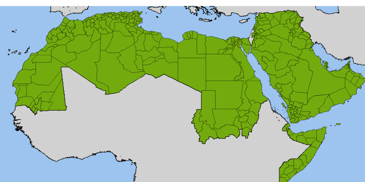 Den arabiske ligas medlems-stater utgjør en massiv allianse sammenlignet med den lille jødiske staten. Foto: Wikimedia Commons.