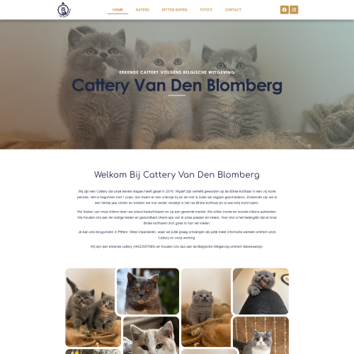 Cattery Van Den Blomberg