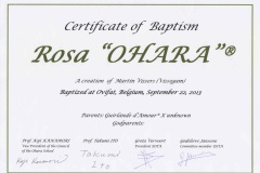 OHARA-ROOS-certificate