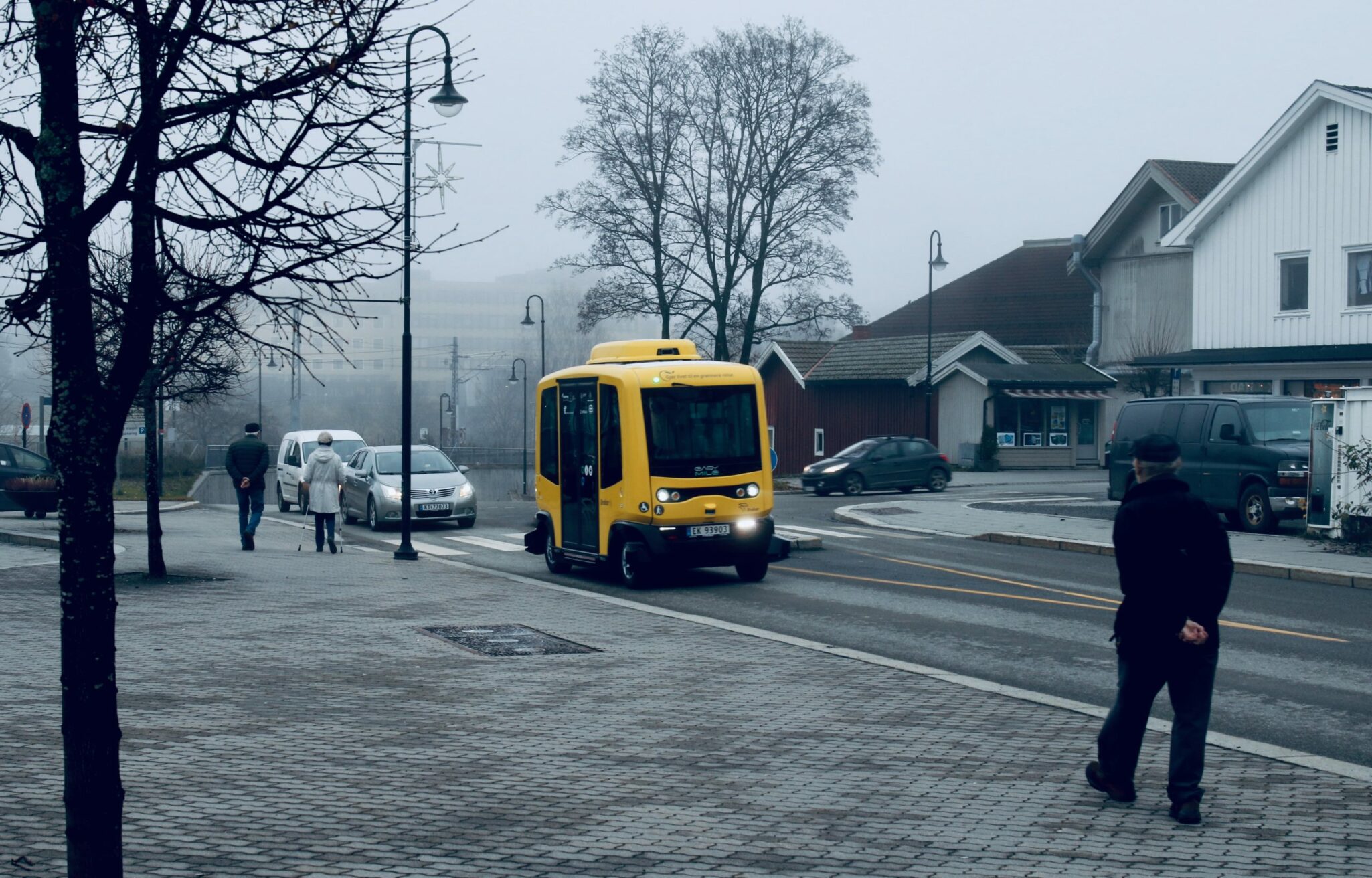 Roadmap to Automated Electric Shuttles in Public Transport