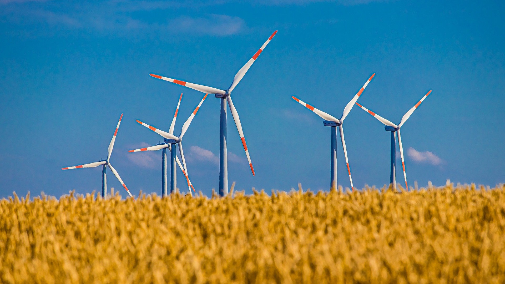 Ausschreibungspflichten Windenergie