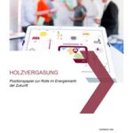 Cover Holzvergasung