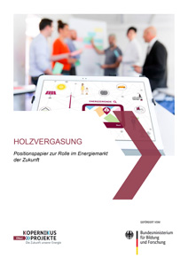 Cover Holzvergasung