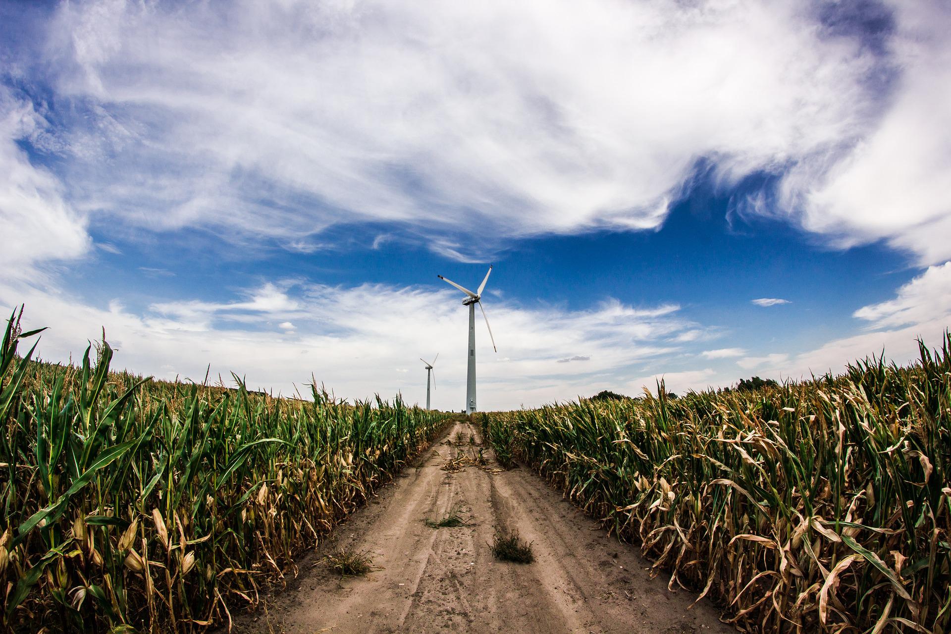 Energy agency Mecklenburg-Western Pomerania