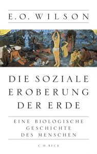 Cover Akzeptanzsteigerung im Windkraufausbau: Individuelle Entschädigungen sind der falsche Ansatzpunkt