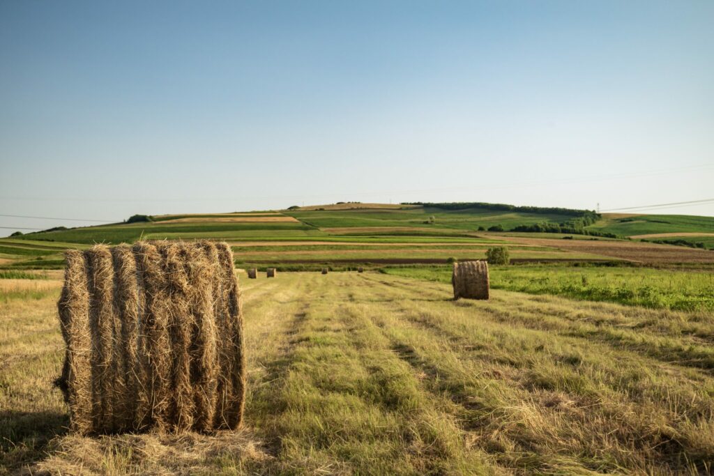 Heuballen auf Feld