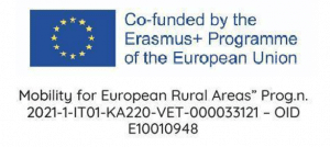 Logo Erasmus+