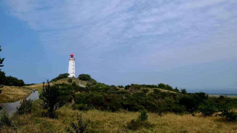 IFZO seminar on the island of Hiddensee