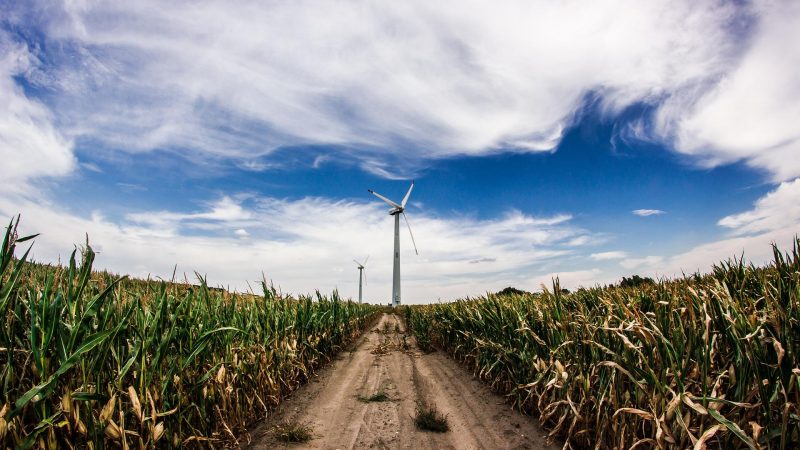 clouds-windmill-crops