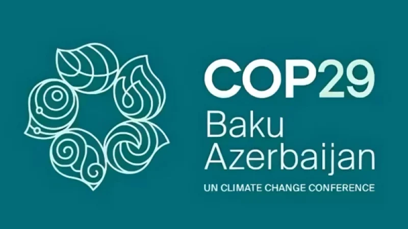 cop29-600x600-2