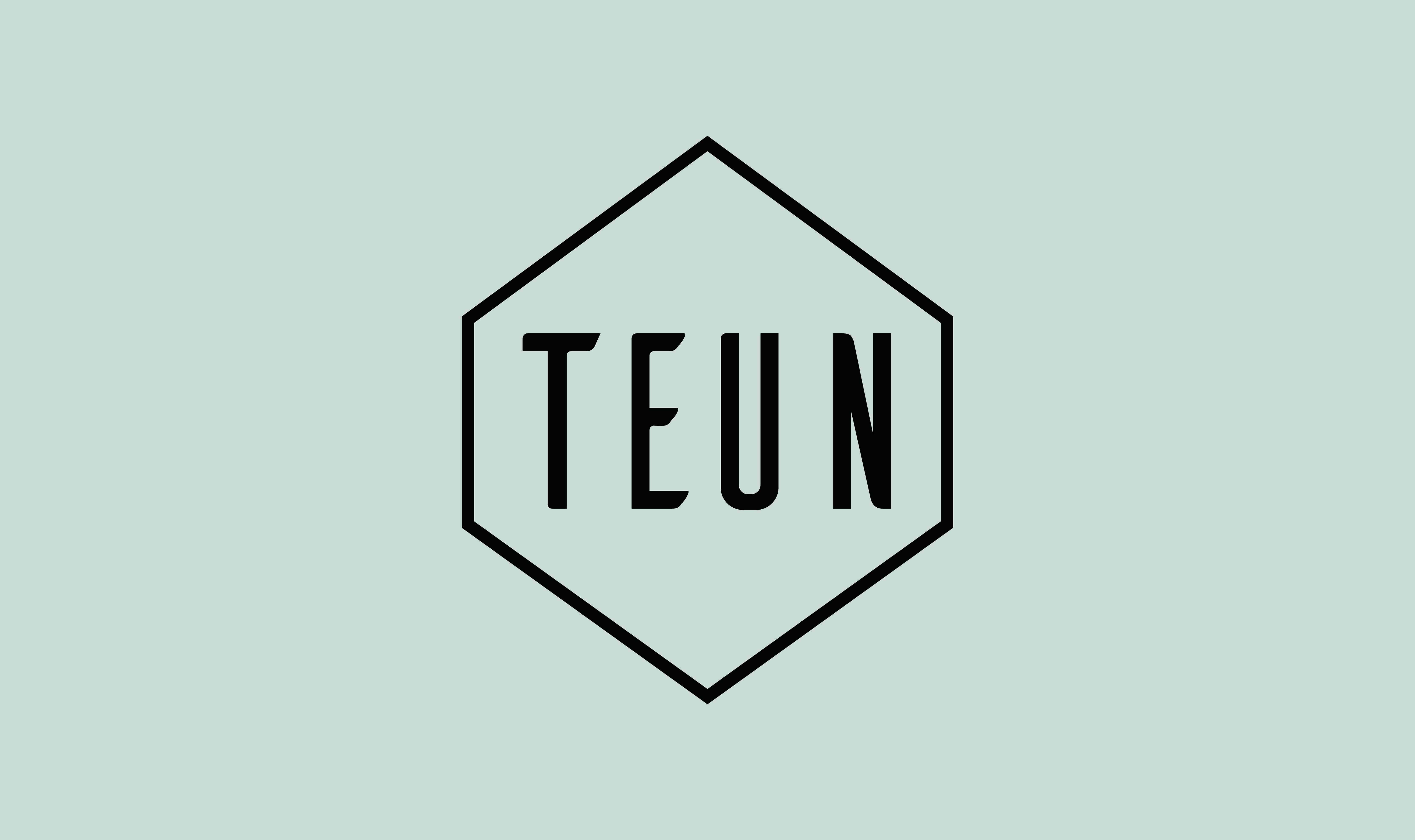 Teun logo