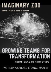 IZBI - Growing Teams for Transformation brochure link