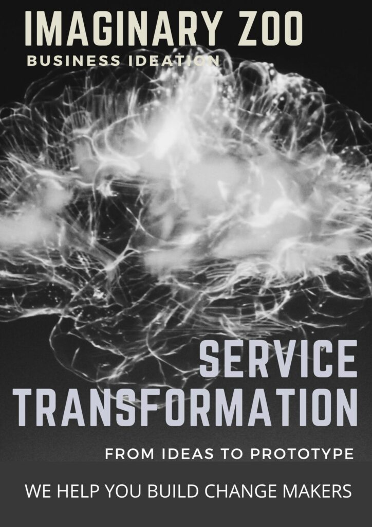 IZBI - Service Transformation brochure link