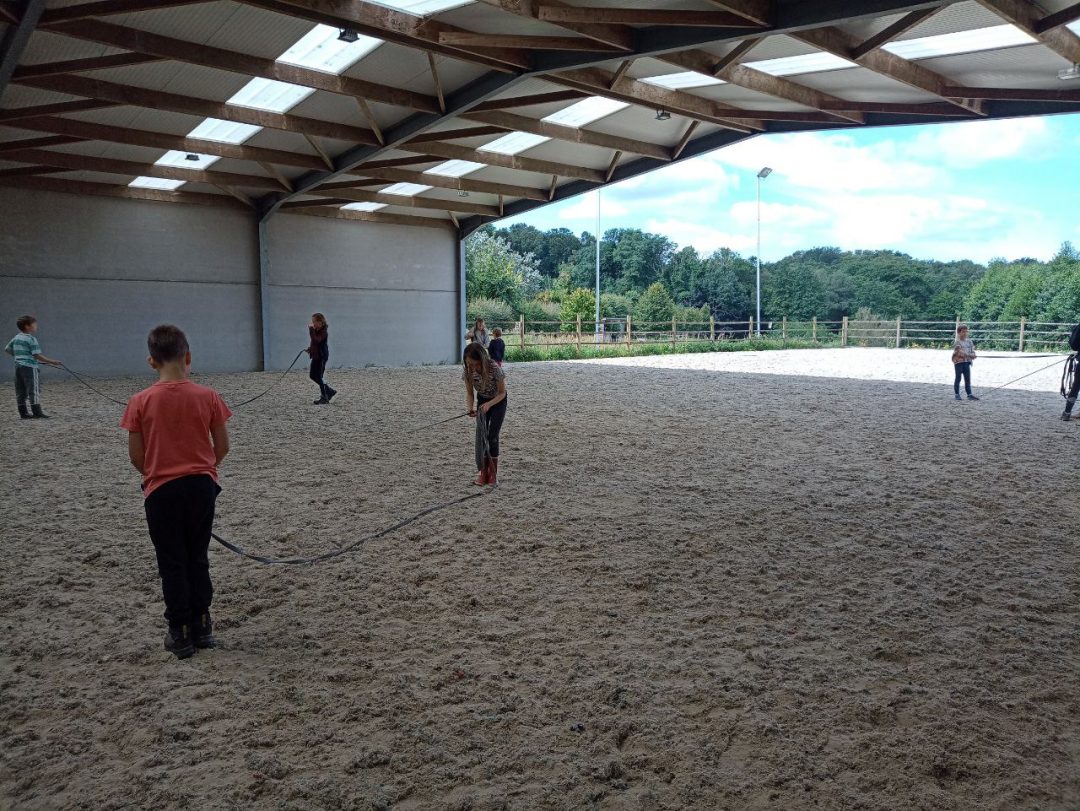 3-daagse Paard-en-kracht - Afbeelding 3