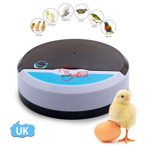 Smart Home Type 9 Small Egg Incubator