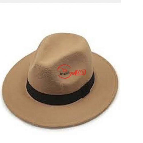 Fedora Trendy Wide Brim Hat