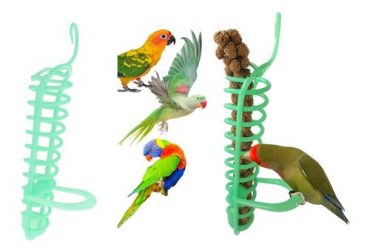 Homyl Fruit And Vegetable Holder For Bird