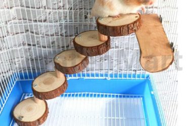 Wooden Hamster Chinchilla Parrot Bird Ladder Springboard Platform Small Animal Play Toys