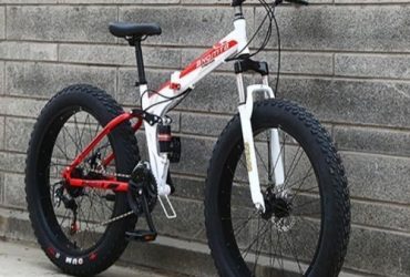 Fat Tyre Cruiser Power Bike