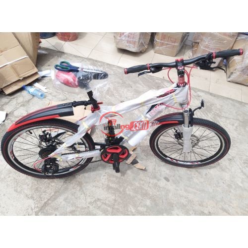 Bike – 24 Inches Adult