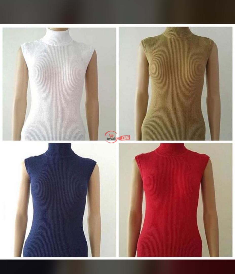 Female turtle neck top