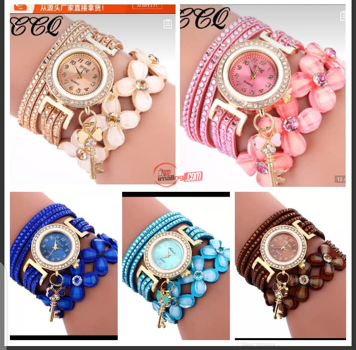 Chain wrist watch and  bracelet