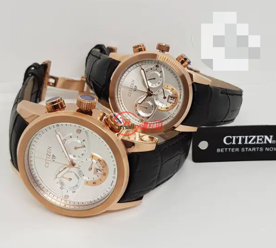 Citizen watch