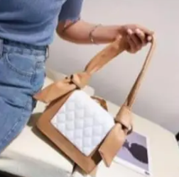 Portable Handbag