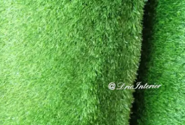 Carpet Grass