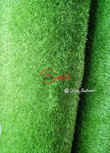 Carpet Grass