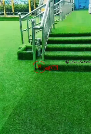 Carpet Grass Wholesale And Retail