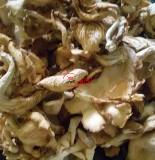 Dried Edible Mushrooms 100g